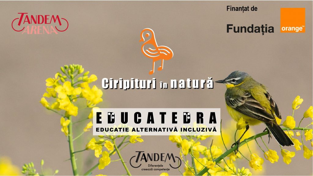 cover-ciripituri-in-natură-isa-educatedra cover-ciripituri-in-natură-isa-educatedra