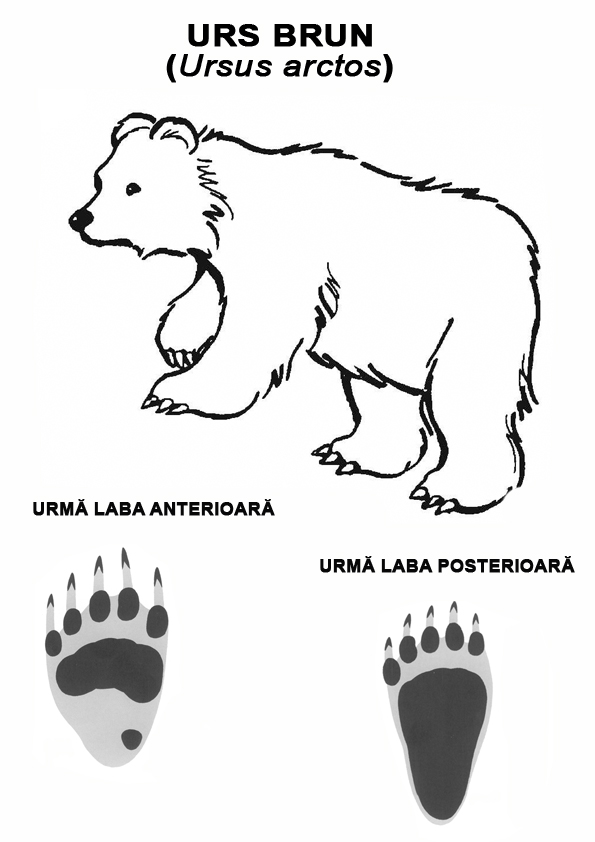 URS planșă Braille URS planșă Braille